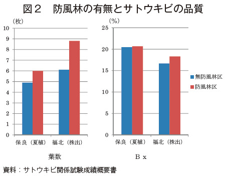 防風林の樹高とサトウキビの収穫量・糖度の関係を示したグラフ。防風林によって保護されている畑のほうが、生成される葉の枚数が多いため、収量と糖度が上昇する。
(https://www.alic.go.jp,独立行政法人農畜産業振興機構のホームページより引用)