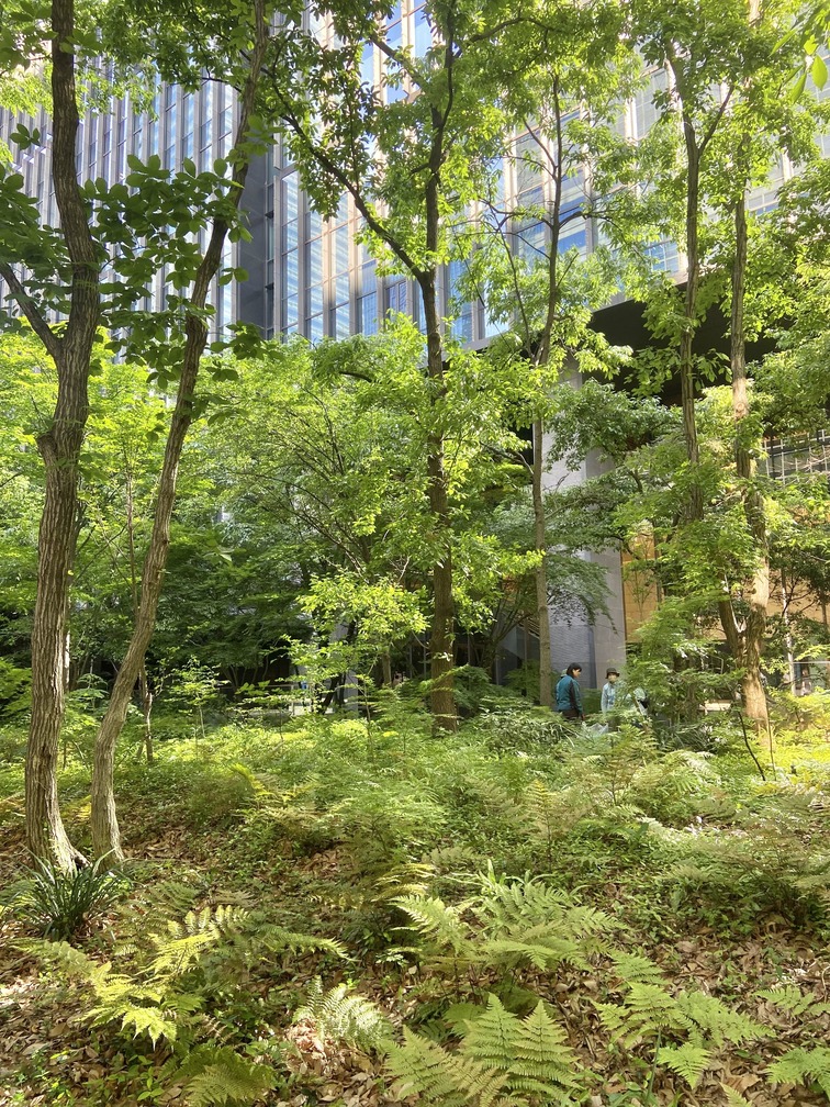 ビル街の真ん中に、巨額の費用をかけて再現された自然の森・大手町の森。自然の持つ価値は、どれだけ社会が発展しても変わらない。