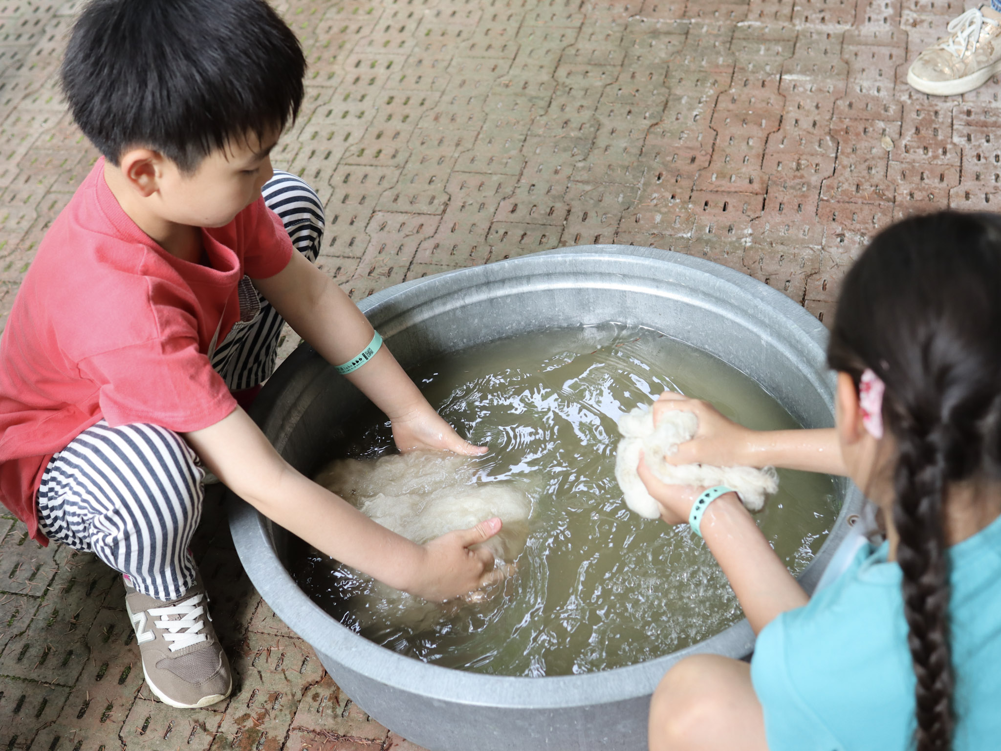この洗毛の工程に手間がかかるため、日本で飼育されているヒツジたちの毛のほとんどが廃棄されているという。日本のヒツジの多くが食用のみで利用されており、羊毛は海外製品で賄われているのが現状。
