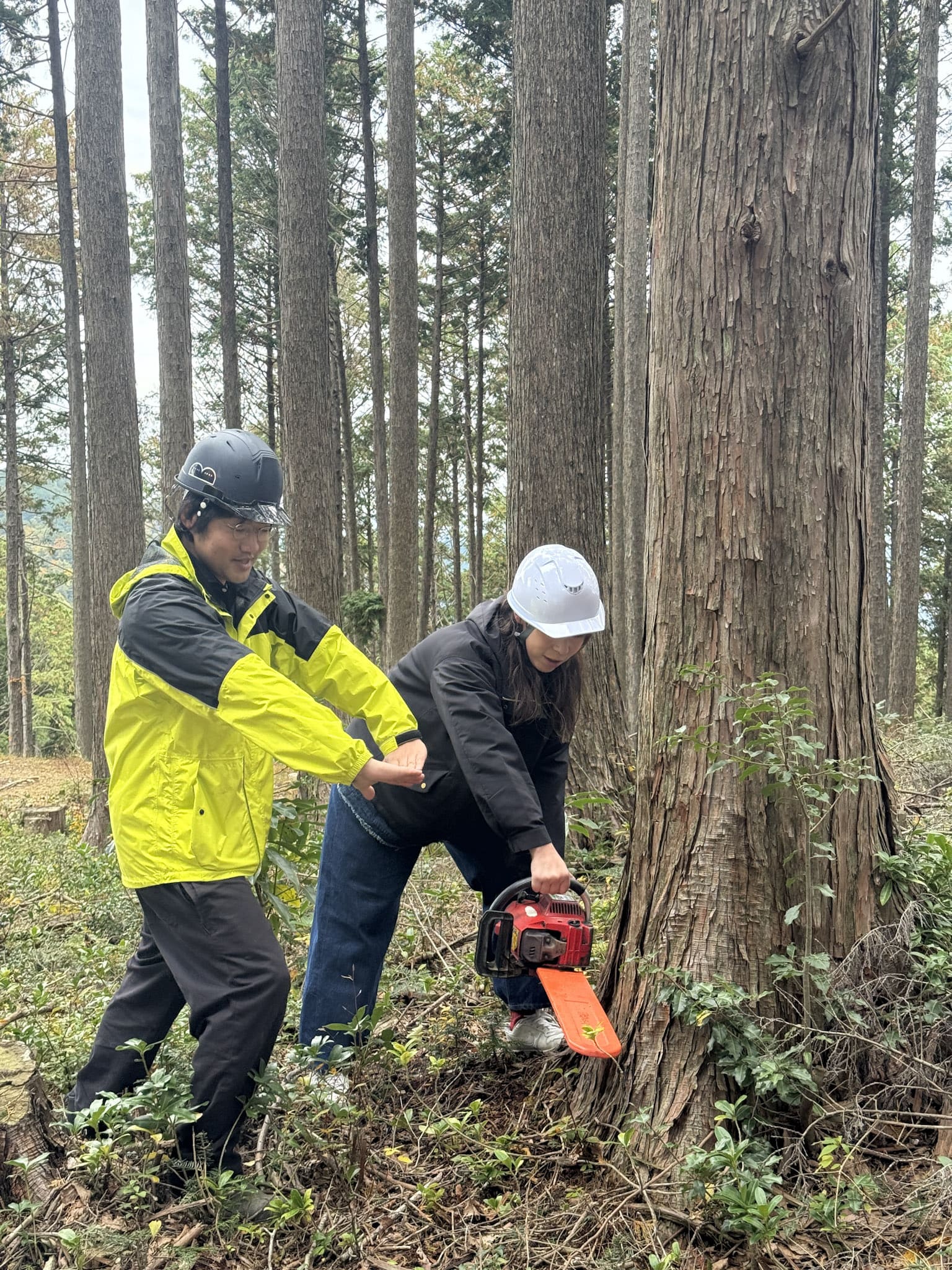 斜面に立って、自分の身体と重たいチェンソーを支えながら作業しなければならない伐採を疑似体験。伐採見学するだけでは気づかない視点を得ることができた。※本研修は、専門家の指導と安全管理のもと実施しています