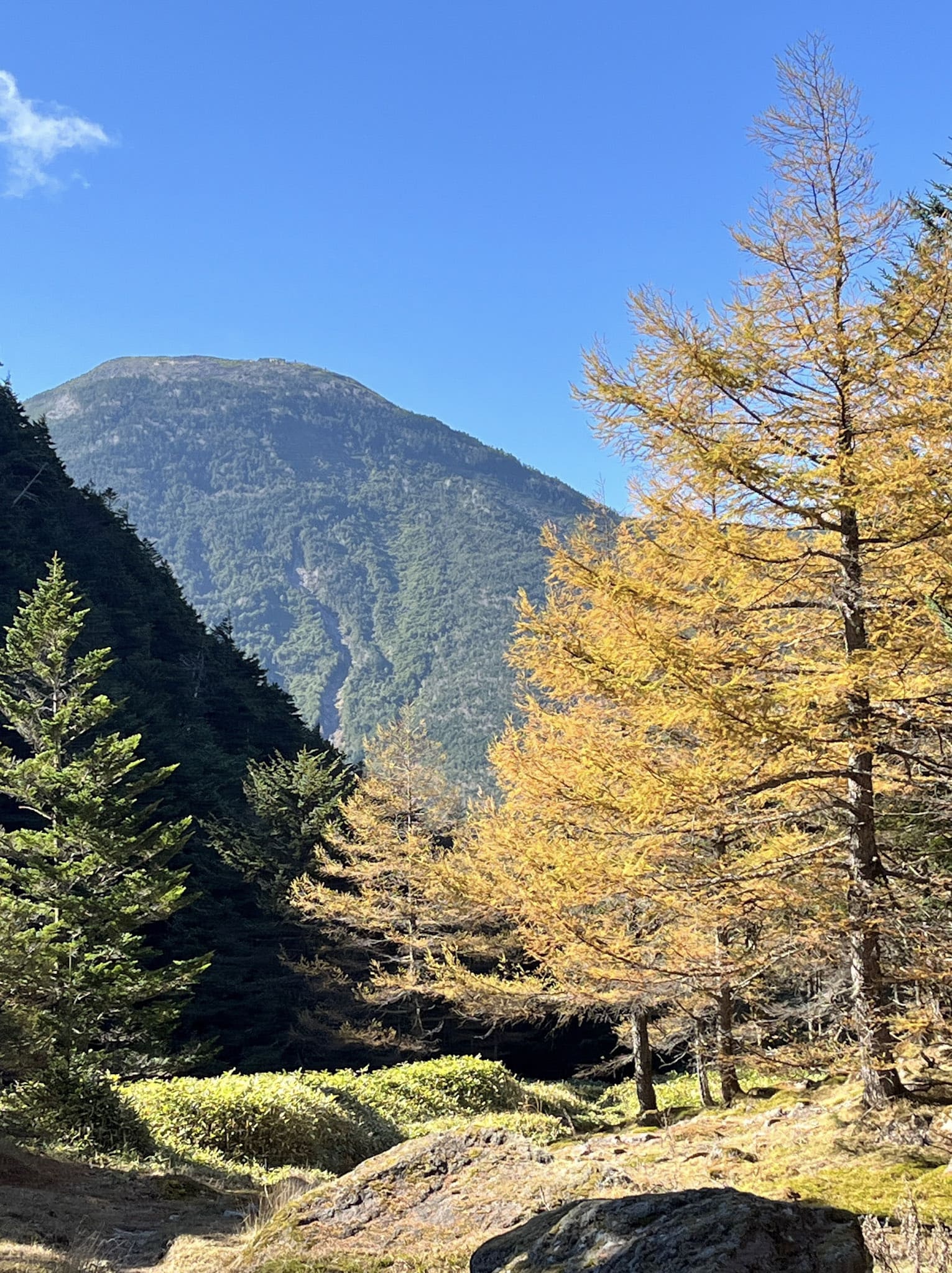 プリン型の蓼科山
