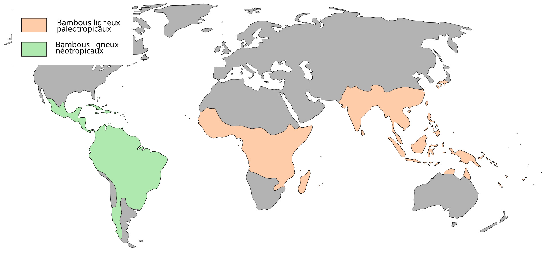 タケの世界分布。他の多くの植物種グループと同じく、旧熱帯（Paleotropic、アジア・アフリカ）と新熱帯（Neotropic、中南米）で異なる進化を辿っており、両地域に生育する種は系統的に区別されている（File:Bambuseae_distribution.svg）より引用