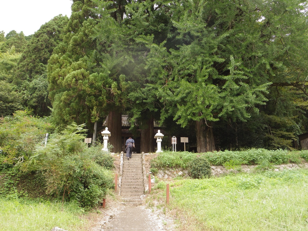 大野瀬神社の外観